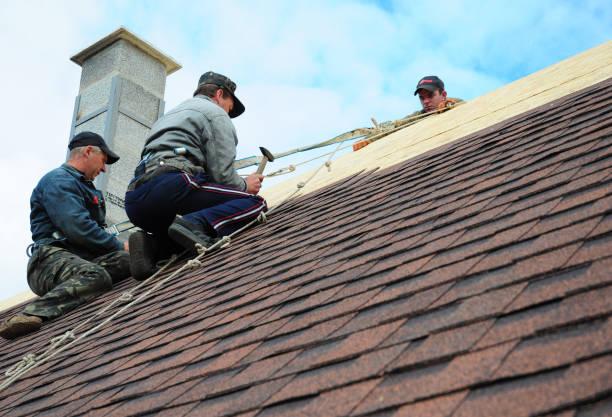 Best Metal Roofing Contractor  in Provo, UT